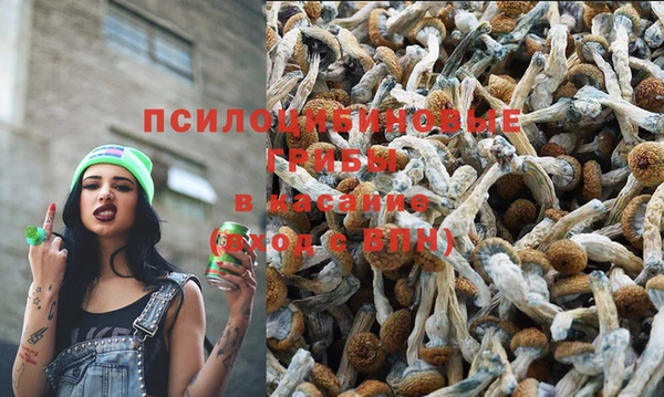 гашиш Аркадак