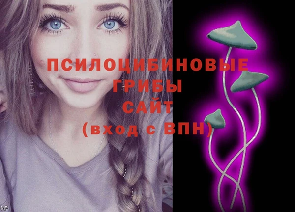 ГАЛЛЮЦИНОГЕННЫЕ ГРИБЫ Снежногорск
