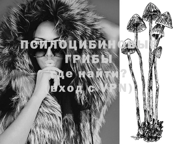 таблы Армянск