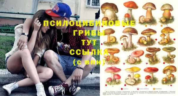 таблы Армянск